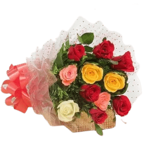 Multicolored Roses
