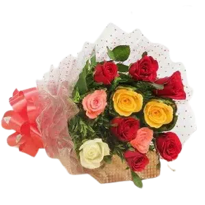 Multicolored Roses