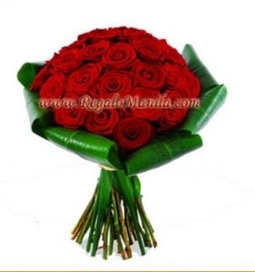 Radiant Red Roses