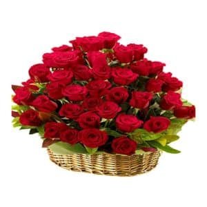 Bright Red Roses