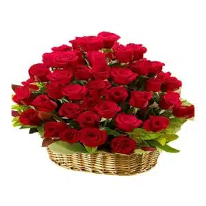 Bright Red Roses