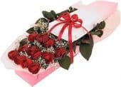 Red Rose in Box
