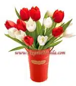 Tulips in French Pail
