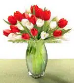 Tulip Bouquet