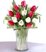 Valentines cheer