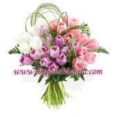 18 pcs Seasonal Tulips