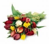 Tulip Bouquet