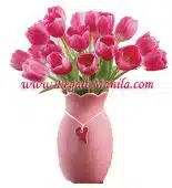 Pink Tulips