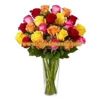 Premium Long Stem  Roses - Multicolored
