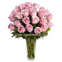 Premium Pink Long  Stem Roses