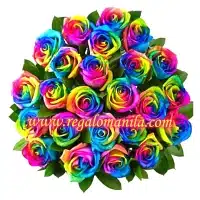 Rainbow of Feelings