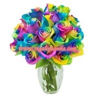 Rainbow of Love