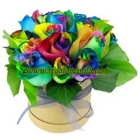 Rainbow in a box