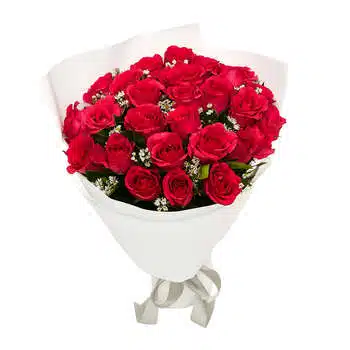 My Valentine