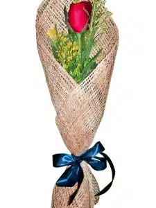 Single Red Rose