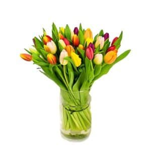Mixed Tulips In Glass Vase