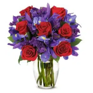 Exotic Red Roses