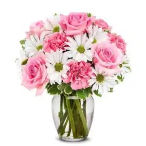 Daisy & Rose Delight