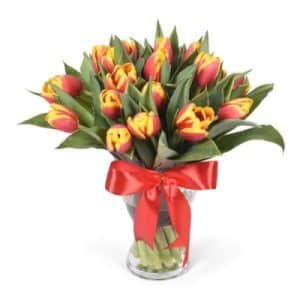 Tulips Bouquet