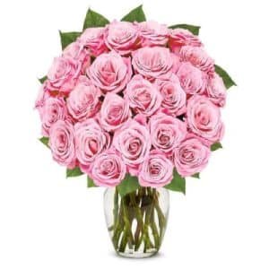 Gorgeous Pink Roses