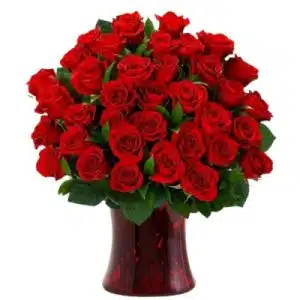 Red Roses Sweet Inspiration