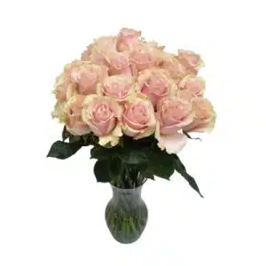Perfectly Pink Rose