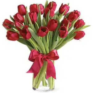 Cherry Red Tulips