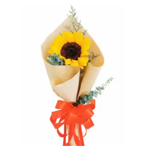 Single Sunflower Surprise