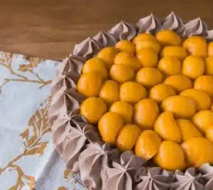 Chocolate Mango Torte