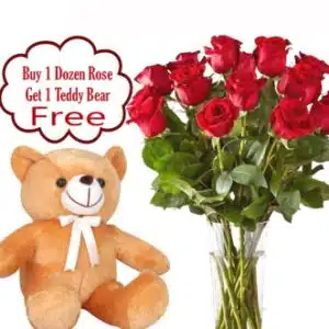 12 Roses in a Vase w/Free Teddy Bear