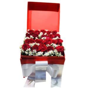 24 Red Roses in a Square Box