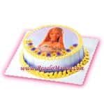 RR-Character Sunny Flowers