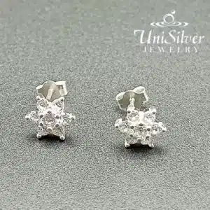 Lady's Earring (ES022-2001)