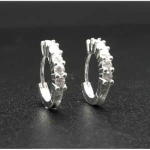 Huggie Hoop Earring (ES304-1001)