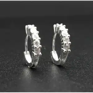 Huggie Hoop Earring (ES304-1001)