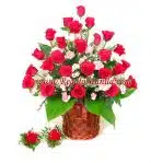 rose & Carnation
