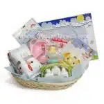 Baby Gift Set