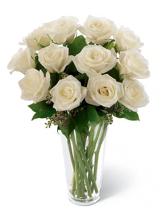 Dramatic Anastasia Roses