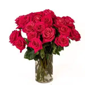 Hot Lady Roses
