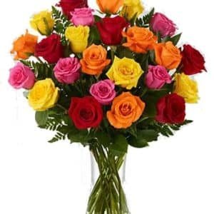 mixed color rose 24 pcs in vase