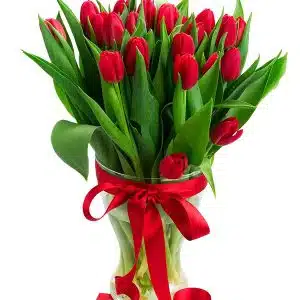 Classic Red Tulip In Vase