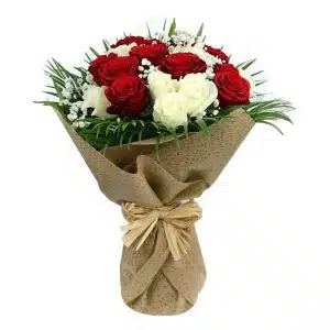Bright Red And White Roses