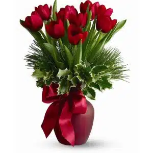 red tulip in vase