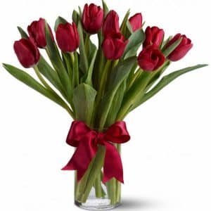 Hello, Ruby tulips