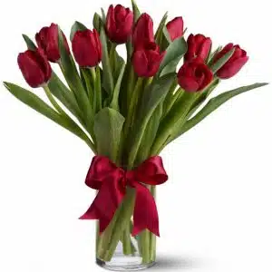 Hello, Ruby tulips
