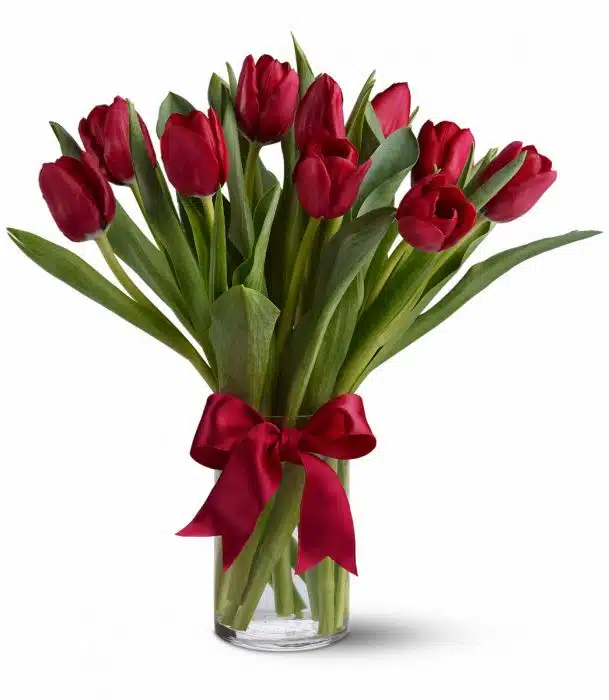 Hello, Ruby tulips