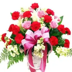 Colorful Blooms