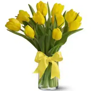 Bright Yellow Tulip