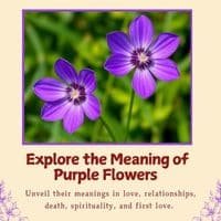 Purple Flowers
