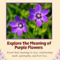 Purple Flowers